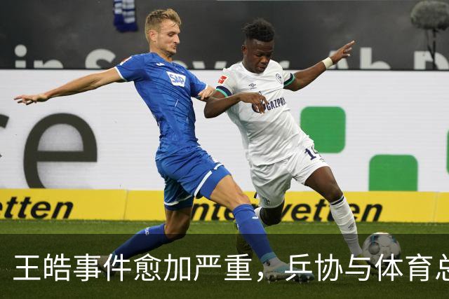 王皓事件愈加严重，乒协与体育总局联手整治饭圈文化的深意